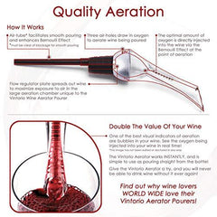 TenTen Labs Wine Aerator Pourer - Premium Aerating Pourer and Decanter Spout (Black)