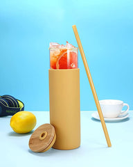 Tronco 28oz Glass Tumbler Glass Water Bottle Straw Silicone Protective Sleeve Bamboo Lid - BPA Free