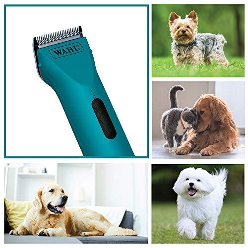 Wahl Professional Animal Arco Pet, Dog, Cat, and Horse Cordless Clipper Kit