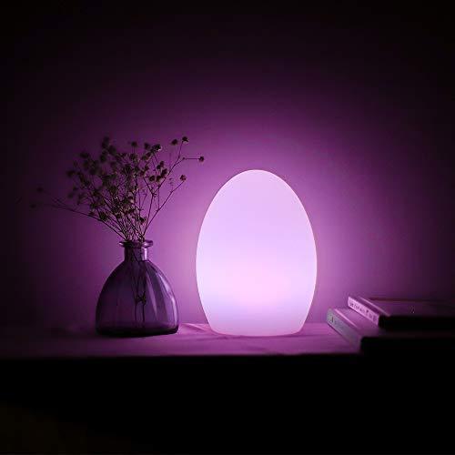LED Light Ball LOFTEK: 8-inch RGB Dimmable Globe Mood Lamp with Remote Control, 16 Colors Changing Floating Pool Lights, 5V USB Fast Charging, IP68 Waterproof Orbs,Perfect for Nursery or Decor Use