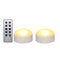 LED Pumpkin Lights with Remote and Timer, Jack-O-Lantern Light, Halloween Light, Flameless Candles for Pumpkins Set of 2