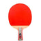 SSHHI Ping Pong Racket, Suitable for Beginners, 2 Pcs Ping Pong Paddle, Flared Handle, Strong/As Shown/C