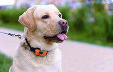 Load image into Gallery viewer, AVA Electric Dog Bark Collar Upgrade 2018 - by [Revolution Energy Controller] x2 Work Time - Vibration No Shock - No Bark Collar for Small Medium Large Dogs Best Barking Collar - Pet Safe Waterproof
