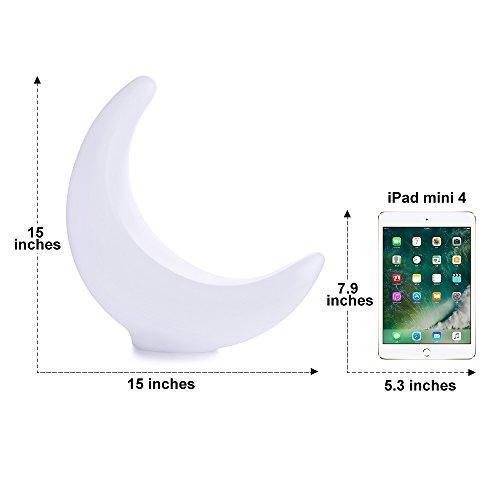 LED Light Ball LOFTEK: 8-inch RGB Dimmable Globe Mood Lamp with Remote Control, 16 Colors Changing Floating Pool Lights, 5V USB Fast Charging, IP68 Waterproof Orbs,Perfect for Nursery or Decor Use
