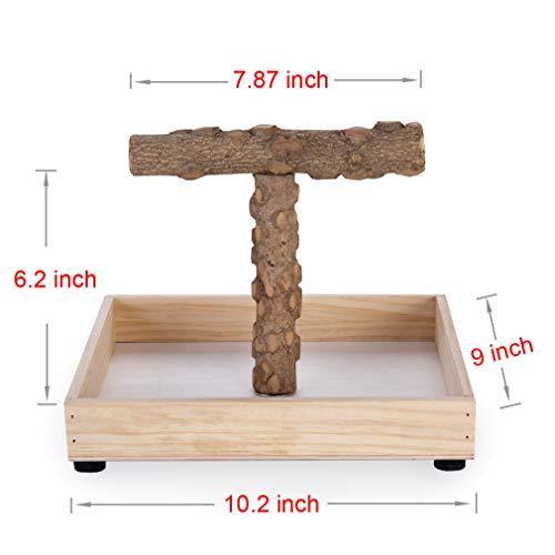 KinTor Bird Perch Nature Wood Stand for Small Medium Parrots