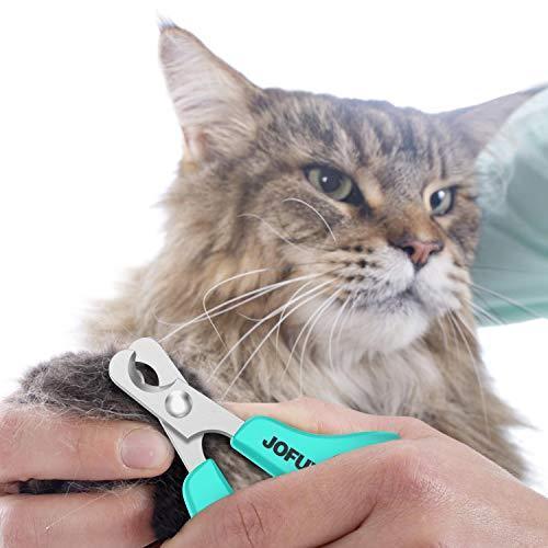 Updated 2019 Version Cat Nail Clippers and Trimmer - Professional Pet Nail Clippers and Claw Trimmer – Best Cat Claw Clippers for Bunny Rabbit Puppy Kitten Ferret Kitty and Small Animals - Sharp, Safe