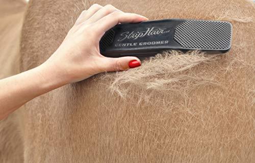 StripHair The Gentle Groomer