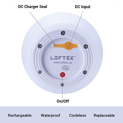 LED Light Ball LOFTEK: 8-inch RGB Dimmable Globe Mood Lamp with Remote Control, 16 Colors Changing Floating Pool Lights, 5V USB Fast Charging, IP68 Waterproof Orbs,Perfect for Nursery or Decor Use