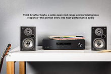 Load image into Gallery viewer, Polk T50 150 Watt Home Theater Floor Standing Tower Speaker (Single) - Premium Sound at a Great Value | Dolby and DTS Surround
