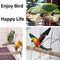 MwaBaiTx Natural Parrot Perch Set, Bird Chewing Toys Bird Perch Bird Stand Bird Cage Accessories