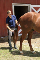 Oster Equine Care Series 7-Piece Grooming Kit