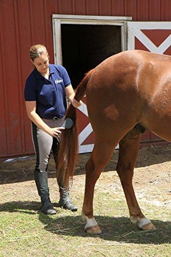 Oster Equine Care Series 7-Piece Grooming Kit