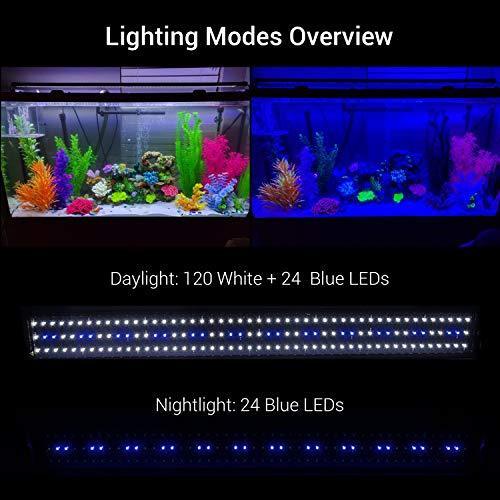 NICREW ClassicLED Aquarium Light, Fish Tank Light with Extendable Brackets, White and Blue LEDs