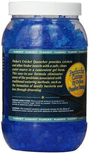 Load image into Gallery viewer, Fluker&#39;s 71204 Cricket Quencher Original Formula, 8oz
