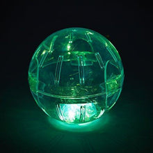 Load image into Gallery viewer, Kaytee LED Run-About Exercise Ball
