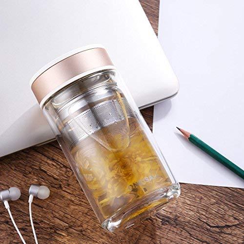 ONEISALL Double Wall Glass Travel Tea Mug with Stainless Steel Filter, Ultra Clear Spill-proof Strong Glass Tea Tumbler, 320ML (Champagne)