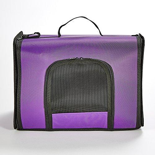 Kaytee Hamster Come Along Carrier (Assorted colors)