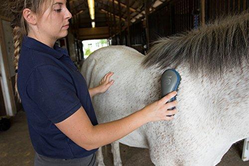 Oster Equine Care Series 7-Piece Grooming Kit