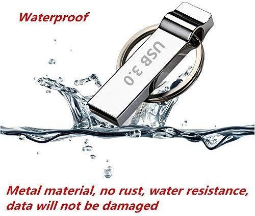 DXBUFU 256GB Silver Metal Compatible 2.0 &3.0 256GB USB Flash Drive, Portable Waterproof Metal Pen Drive Storage Keychain Thumb Drive Memory Stick with Anti-Lost Keychain (256GB)