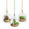 SunGrow 3 Hanging Glass Terrariums Spherical Air Plant Orb - Handmade, Heat-Resistant Glass - Create Refreshing Atmosphere in Terrace Garden - Rocks, Plants & Other Accessories NOT Included