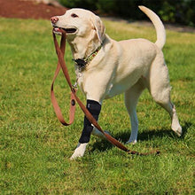 Load image into Gallery viewer, SEISSO Dog Brace for Canine Leg Wound Care, Band Healing Recovery, Sprains Helps with Loss of Stability Caused by Arthritis, Dog Rear Leg Braces
