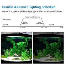 Load image into Gallery viewer, NICREW ClassicLED Aquarium Light, Fish Tank Light with Extendable Brackets, White and Blue LEDs
