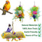 MwaBaiTx Natural Parrot Perch Set, Bird Chewing Toys Bird Perch Bird Stand Bird Cage Accessories