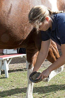 Oster Equine Care Series 7-Piece Grooming Kit