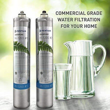 Load image into Gallery viewer, Everpure H-1200 Drinking Water Filter System (EV9282-00). Quick Change Dual Cartridge System. Commercial Grade Water Filtration and Lead Reduction
