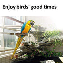 MwaBaiTx Natural Parrot Perch Set, Bird Chewing Toys Bird Perch Bird Stand Bird Cage Accessories