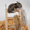 Sarora - Hamster Chew Toys Wooden Hanging Climbing Ladder For Small Pet Mouse Rat Mice