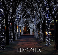 Lemontec Solar String Lights, 200 Led Holiday String Lighting Outdoor Solar Patio Lights Fit Chrismas Garden Wedding Party Landscape[White], 2 Pack 400 LED