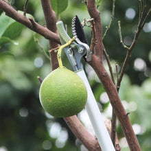 Load image into Gallery viewer, Worth Garden Long Reach Tree Pruner, 4ft Lightweight Cut and Hold Pruning Trimmer
