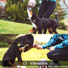 Load image into Gallery viewer, Peteme Dog Training Collar Rechargeable with Beep/Vibra/Electric Shock ，100% Waterproof Training Collar, Up to 1200Ft Remote Shock Electric Collar
