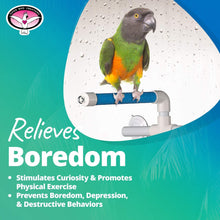 Load image into Gallery viewer, Super Bird Creations SB126 Portable Fold-Away Shower Perch with Suction Cups, Bird Grooming Accessory for Medium &amp; Large Size Birds, 9.5” x 11” x 8”

