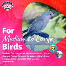 Load image into Gallery viewer, Super Bird Creations SB126 Portable Fold-Away Shower Perch with Suction Cups, Bird Grooming Accessory for Medium &amp; Large Size Birds, 9.5” x 11” x 8”
