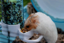Load image into Gallery viewer, Cydnlive Automatic Pet Feeder, Hamster Hedgepig Rabbit Bird Small Animal Feeding Food Dispenser with Holder
