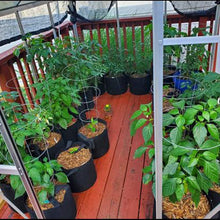Load image into Gallery viewer, 2-Gallon 6-Bag Grow Bag/Aeration Fabric Plant Pots with Green Handles for Potatoes and Plants
