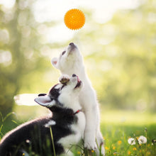 Load image into Gallery viewer, EETOYS Durable Dog Chew Spike Ball, 3Pack Squeaker Spiky Ball Squeaky Dog Toy for Training Play Fetch by EETOYS MARKET LEADER PET LOVER
