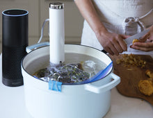 Load image into Gallery viewer, Malaha Joule Sous Vide, 1100 Watts, White Body, Stainless Steel Cap &amp; Base
