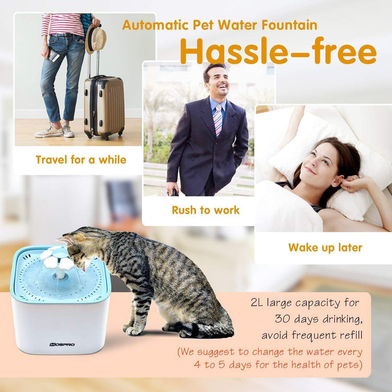 Pet Fountain Cat Water Dispenser - Healthy and Hygienic Drinking Fountain Super Quiet Flower Automatic Electric Water Bowl with 2 Replacement Filters for Dogs, Cats, Birds and Small Animals Blue