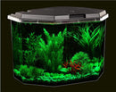 Koller Products 6.5-Gallon Aquarium Kit with Power Filter and LED Lighting, (AP650)