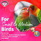 Super Bird Creations SB949 Pickin’ Pocket Foraging Bird Toy with Colorful Paper Shred, Medium Size, 5” x 3” x 7.5”