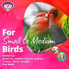 Super Bird Creations SB949 Pickin’ Pocket Foraging Bird Toy with Colorful Paper Shred, Medium Size, 5” x 3” x 7.5”