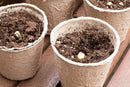 100 Recycled Paper Planting peat Pot 3"- Perfect for Starting Seeds and transferring to Garden Without Damage to Roots. 100% Biodegradable and eco Friendly.