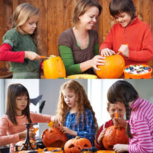 Load image into Gallery viewer, 12 Pieces Professional Pumpkin Carving Tool Kit Heavy Duty Stainless Steel Tool Set with Storage Carrying Case Used As a Carving Knife for Pumpkin Halloween Decoration
