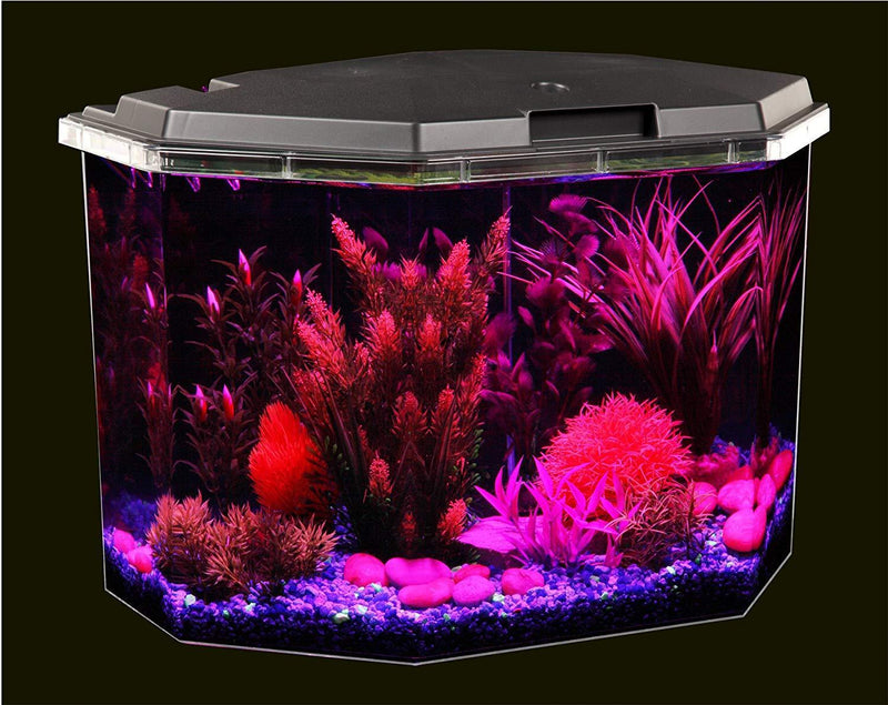 Koller Products 6.5-Gallon Aquarium Kit with Power Filter and LED Lighting, (AP650)