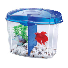 Load image into Gallery viewer, Aqueon Betta Bowl Aquarium Kit in Black
