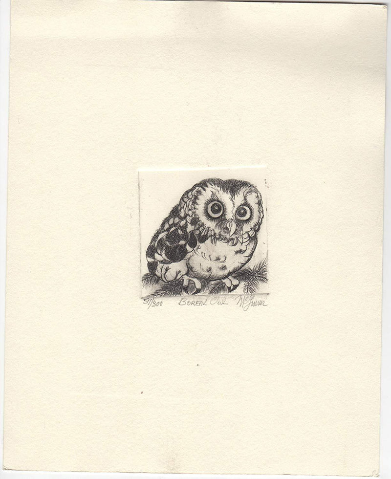 Boreal Owl