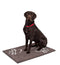 Internet's Best Chenille Dog Mat